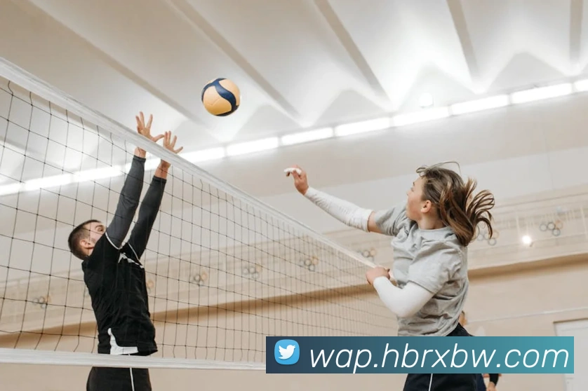 开云app官方在线入口平台生态图