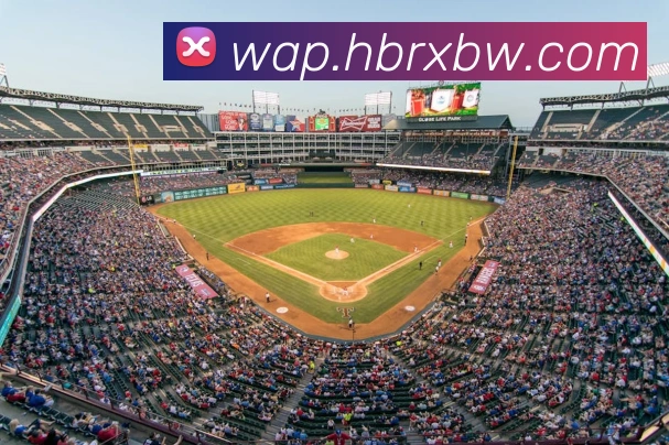 开云app官方在线入口APP 封面图